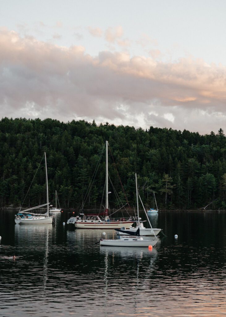sailboat in the halifax arm at sunset