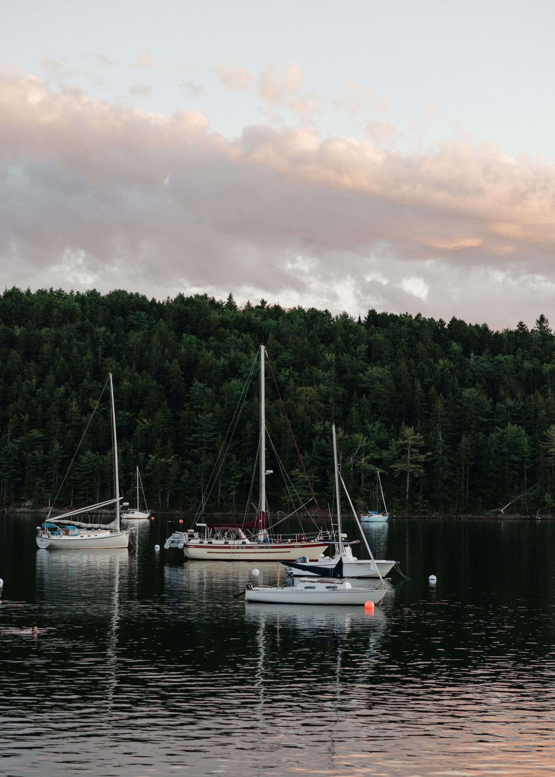 sailboat in the halifax arm at sunset